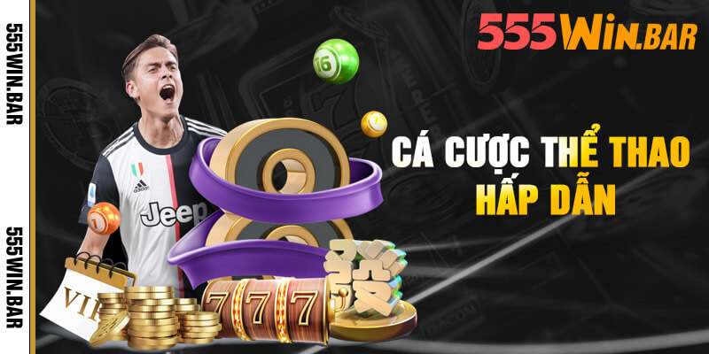 Thể thao 555WIN - Cá độ trực tiếp sôi động